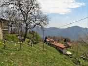 84 Alla verde radura prativa di Sonzogno (1018 m)